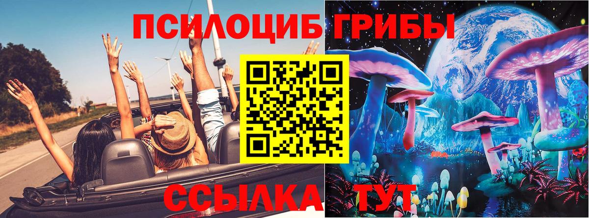 Псилоцибиновые грибы GOLDEN TEACHER Домодедово