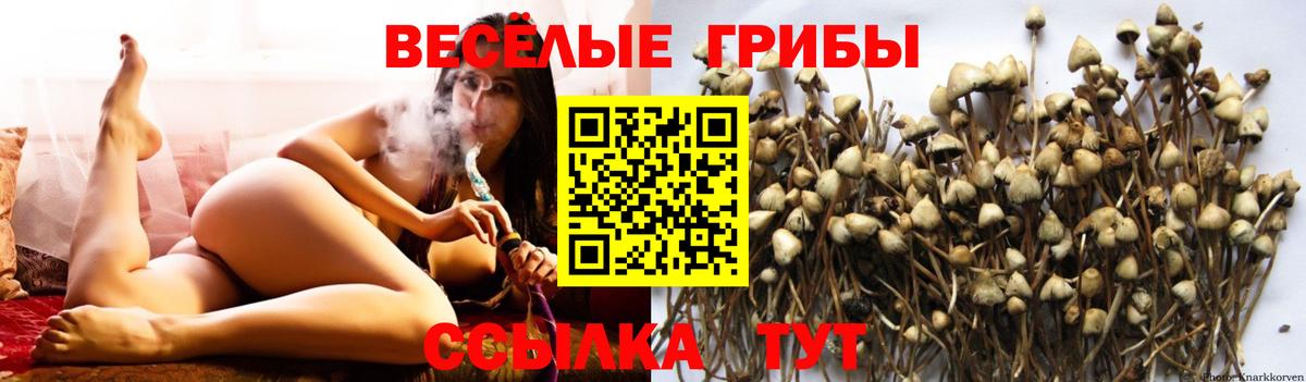Галлюциногенные грибы Psilocybine cubensis  Вход с VPN  Домодедово 